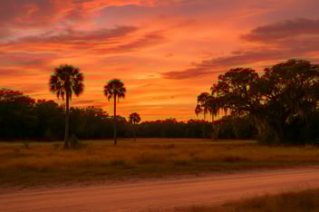 sell land in florida