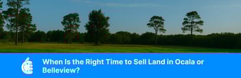 Open land with trees and blue sky in Marion County, Florida — ideal for selling property in Ocala or Belleview