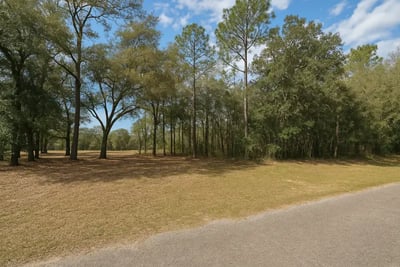 Best Websites to Sell Your Land Fast in 2025: Listing vs. Direct Sale