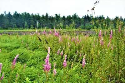 Why Landowners Trust UNITY: 5 Reasons to Sell with Confidence