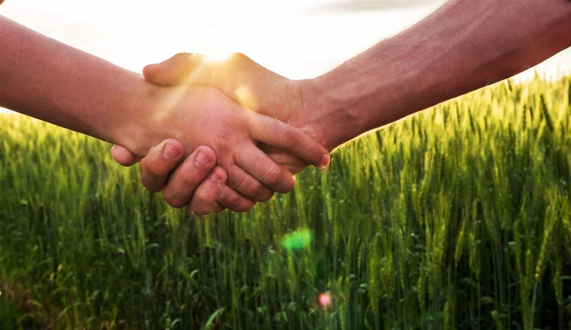 2020-08-04_15-58-14-1