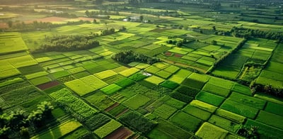 Sell Your Land as an Owner | Avoid Agent Fees with Smart Tricks