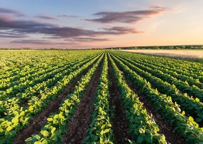 How Does Selling Land to an Investor Work?