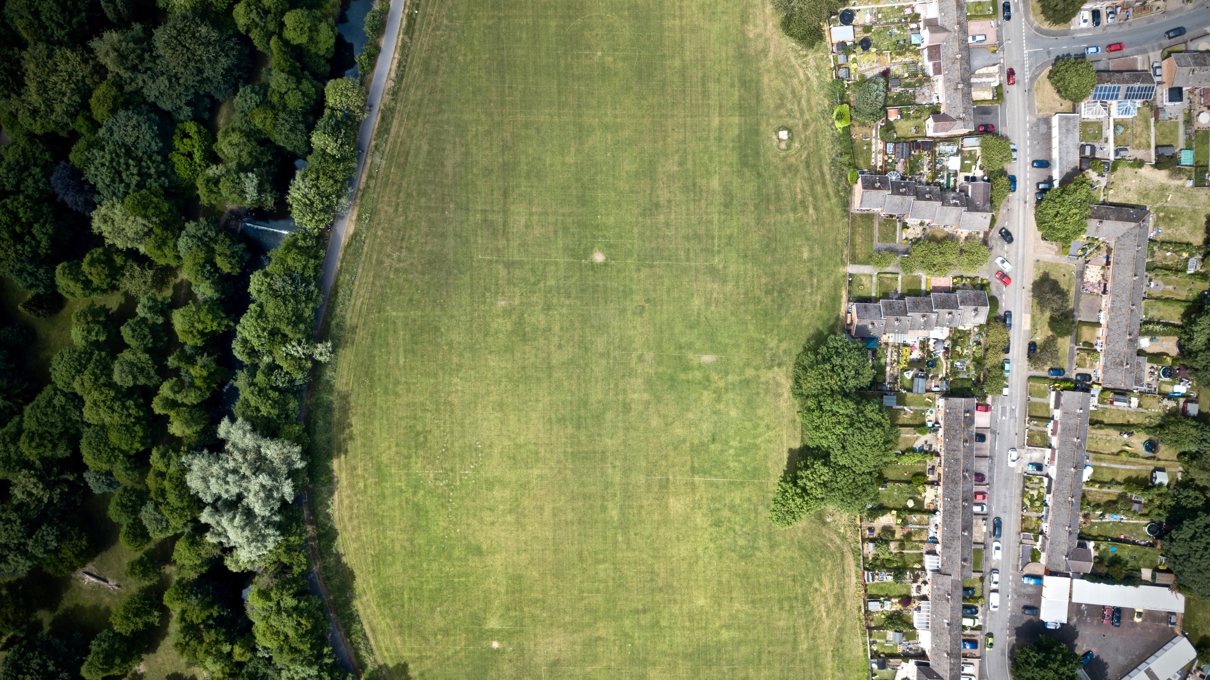 grass-field-daytime